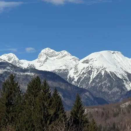Belica