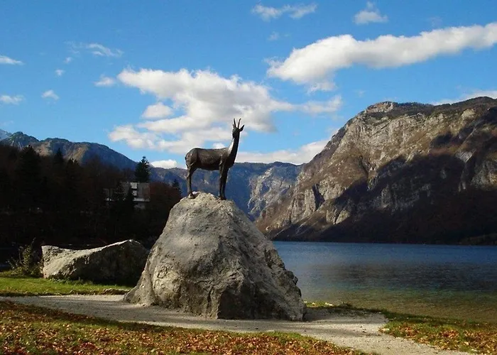 Dom wakacyjny Belica *